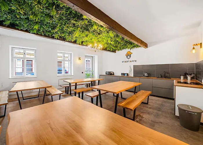 Stadtaffe - Chic Vie