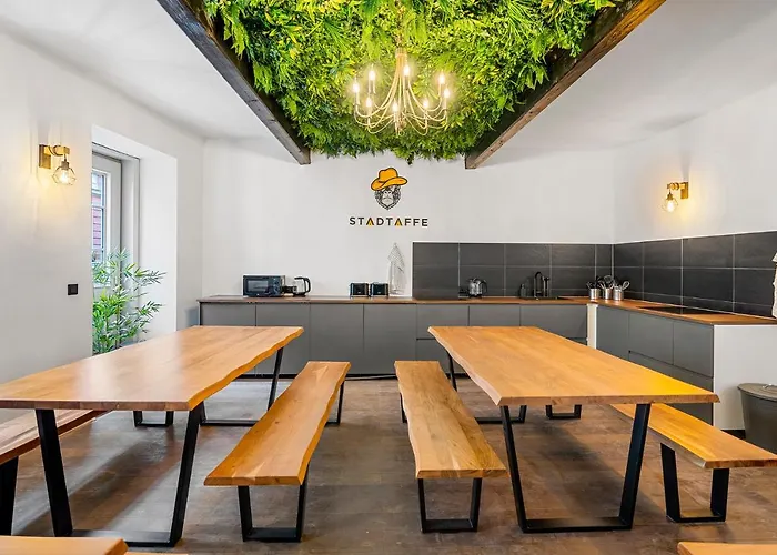 Stadtaffe - Chic Vie *